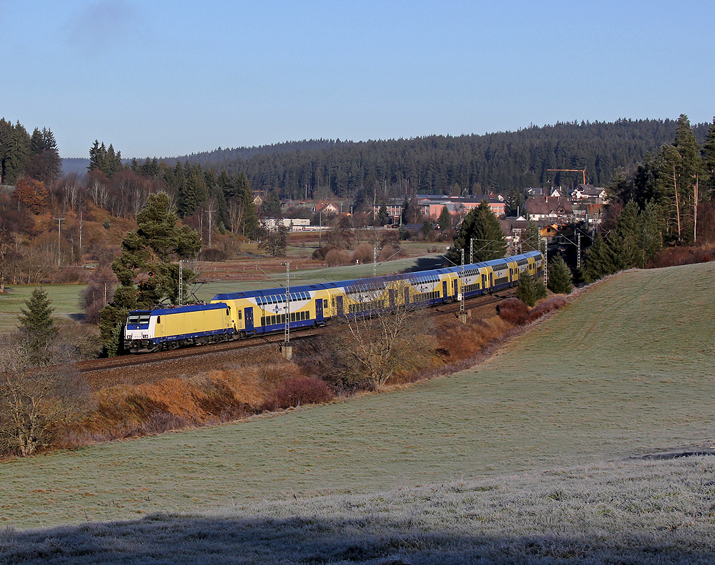 Metronom im Schwarzwald