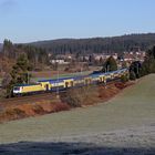 Metronom im Schwarzwald