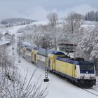 Metronom im Schwarzwaldschnee...