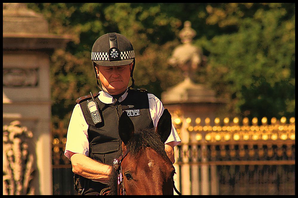 Metropolitan Police by Oliver