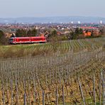 Metropolregion Rhein-Neckar