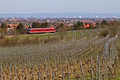 Metropolregion Rhein-Neckar