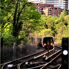 MetroRail Springtime