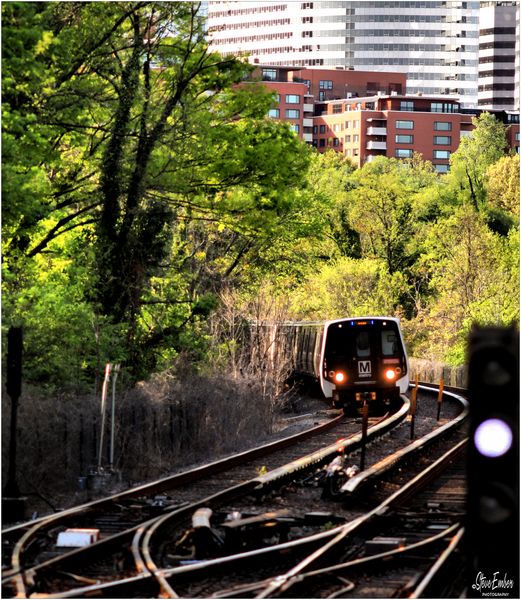 MetroRail Springtime