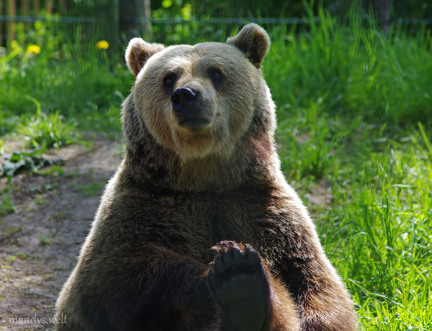 Mette Foto & Bild fotos, natur, niedlich Bilder auf