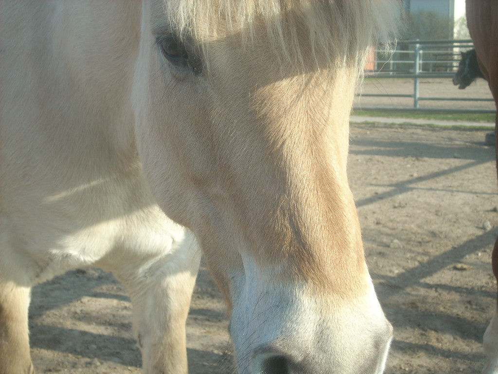 Mette auf dem Abstellplatz