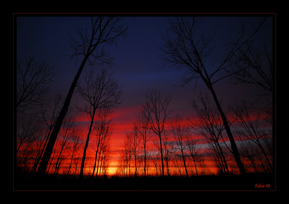 Metti l'alba dentro ad un pioppeto....