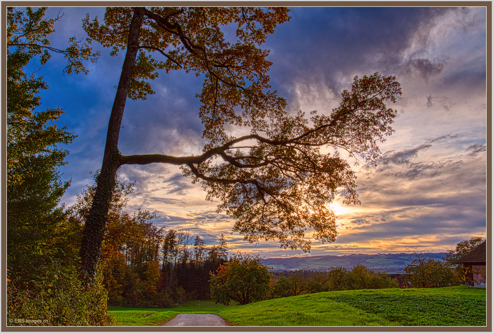 Mettmenstetten-Dachlissen HDR 2019-11-02 013 ©