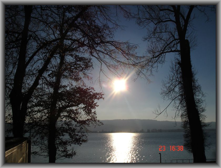 Mettnau am Bodensee im Januar II