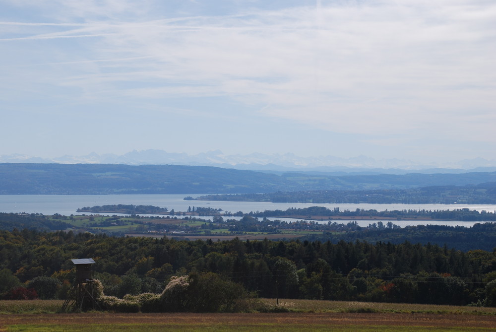 Mettnau im Bodensee