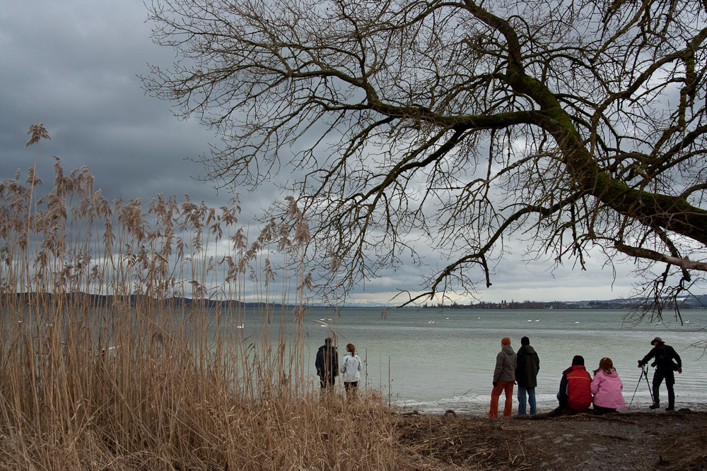 Mettnaublick