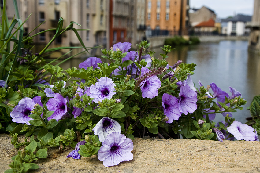 Metz, France