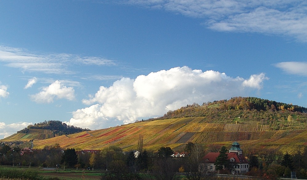 Metzinger - und Neuhäuser Weinberge in herbstlicher Färbung