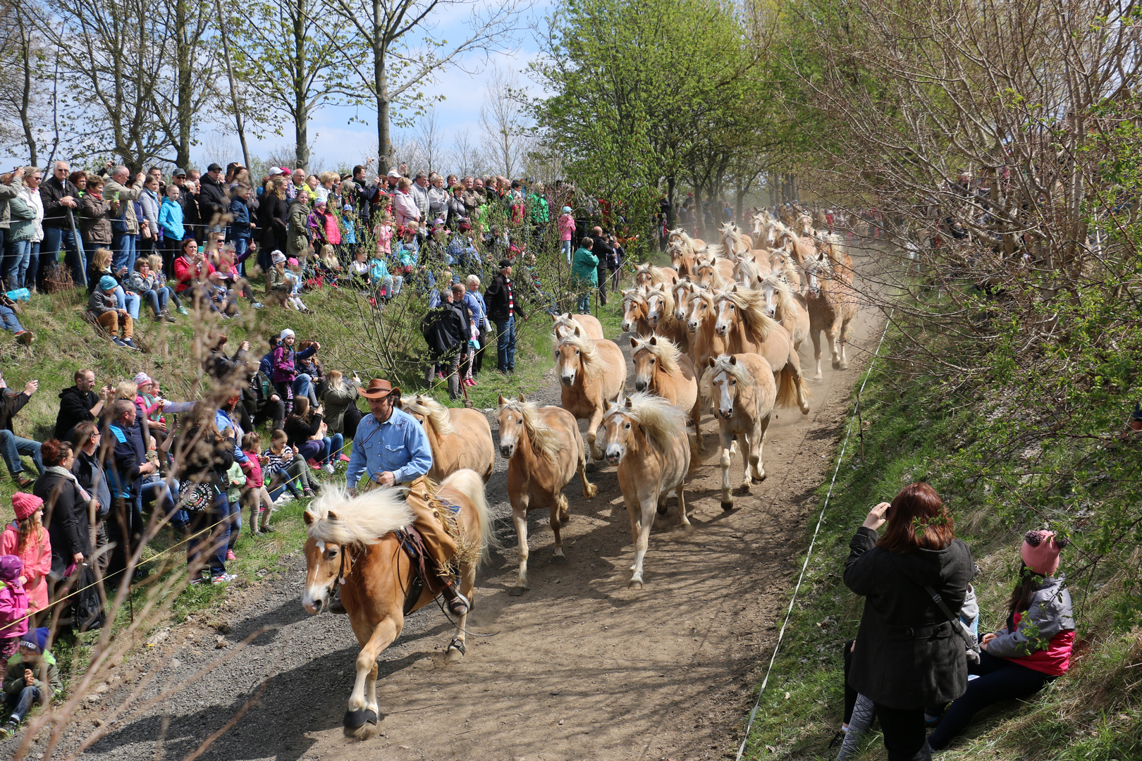 Meura Weideaustrieb 2017 01-1