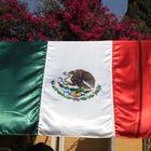 Mexican flag