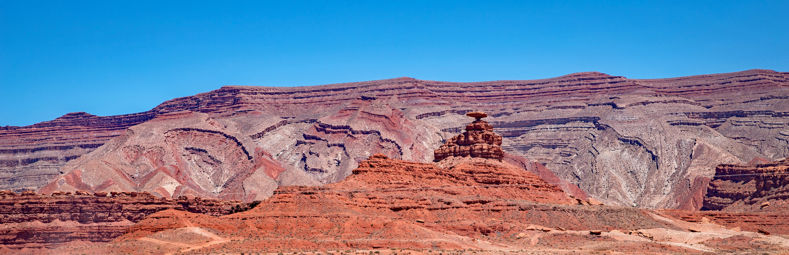 Mexican Hat und die Indian Blankets