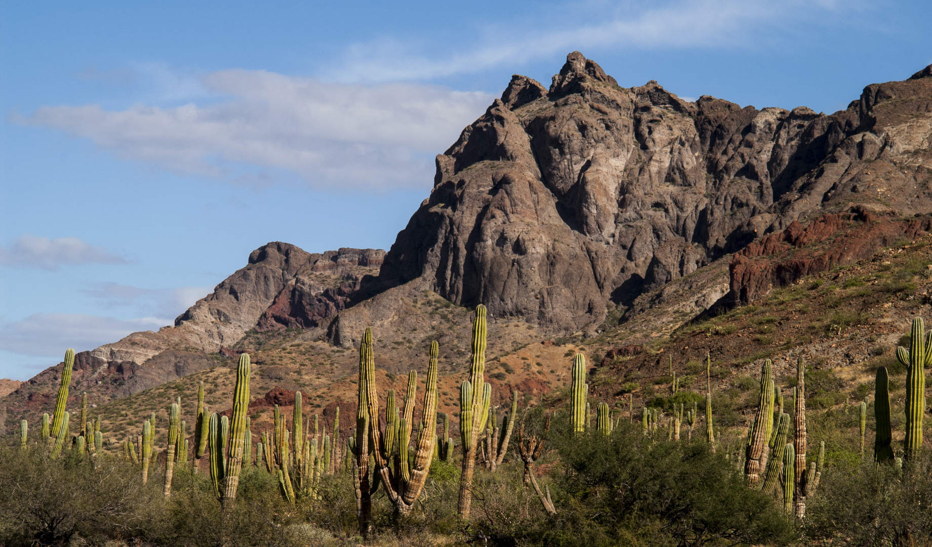 Mexiko - Baja California-La Paz-Balandra