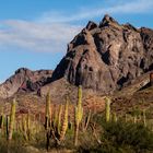 Mexiko - Baja California-La Paz-Balandra