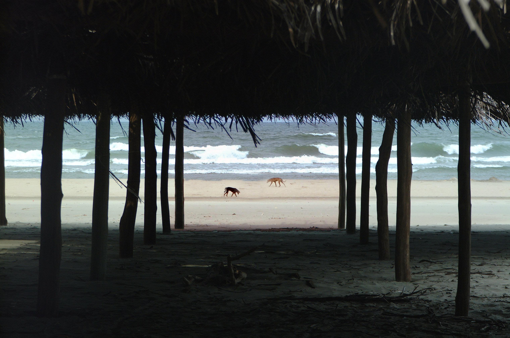 Mexiko, Vera Cruz, Paraiso, einsamer Strand