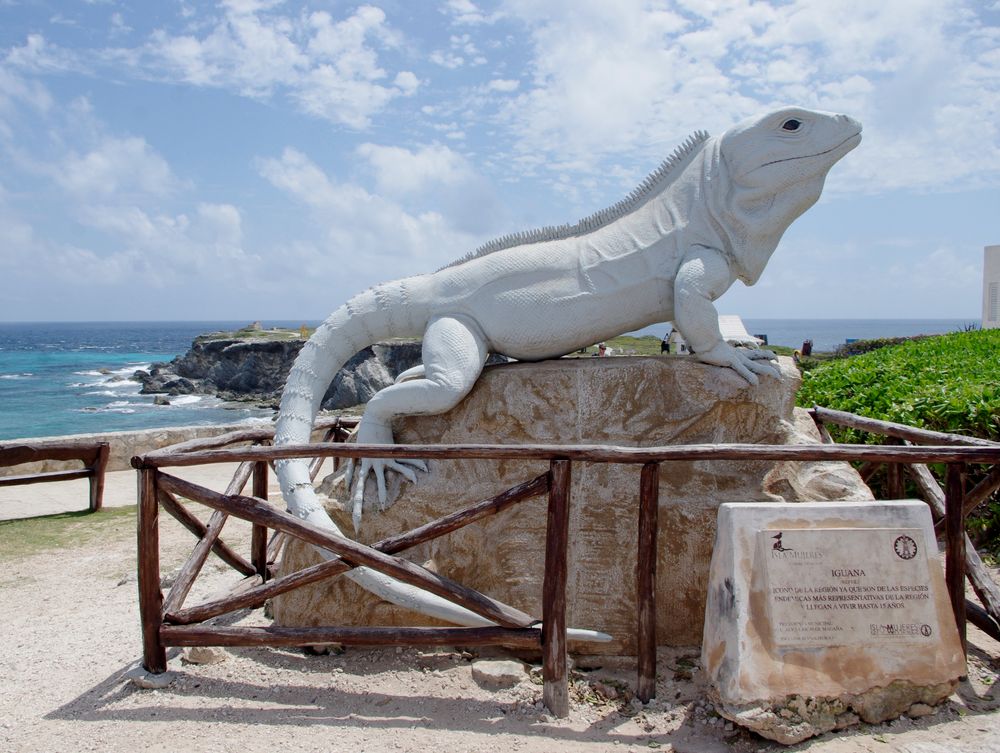 Mexique - l'Isla Mujeres - 10