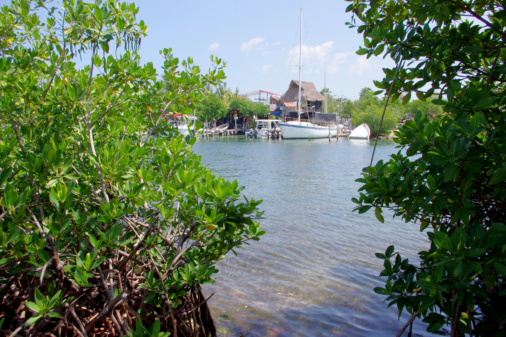 Mexique - l'Isla Mujeres - 7