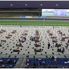 Meydan Racecourse