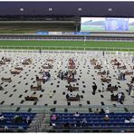 Meydan Racecourse