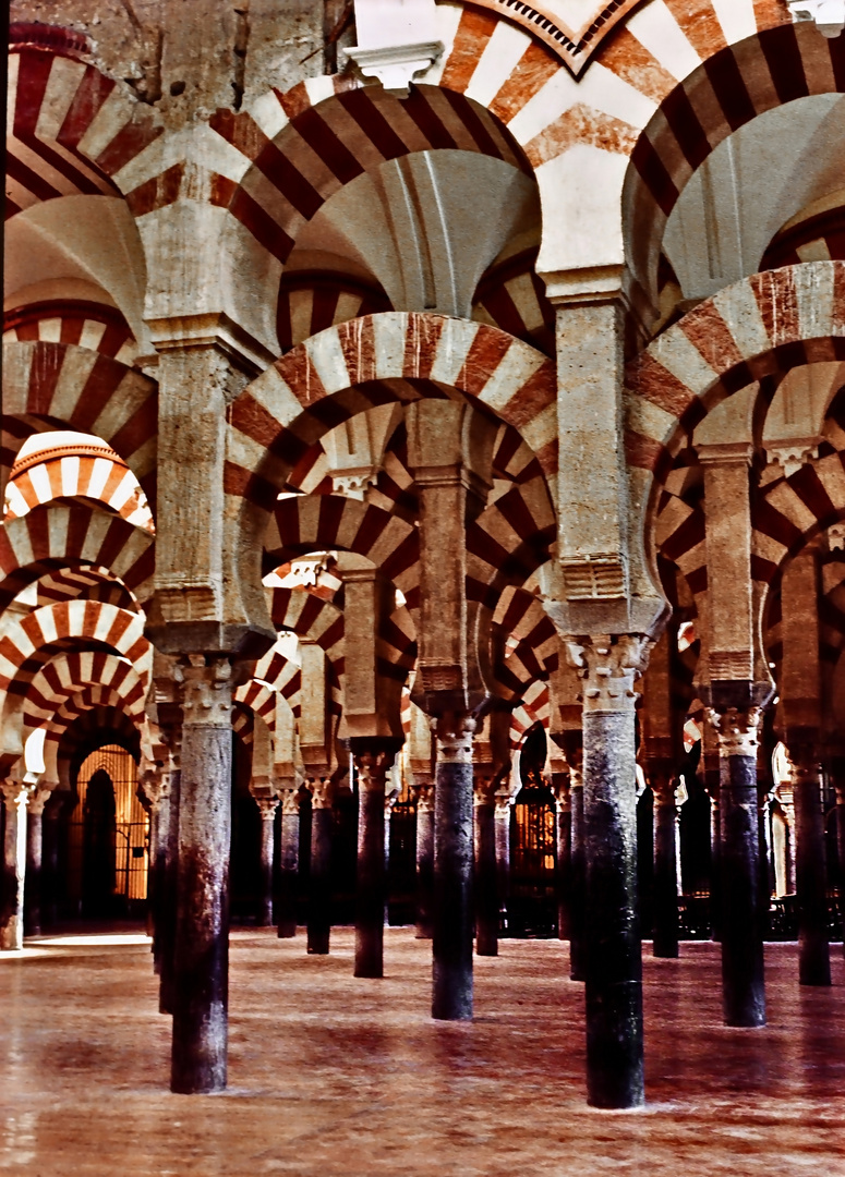 Mezquita 03