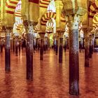 Mezquita Catedral