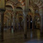 MEZQUITA CATEDRAL (Bosque de columnas )