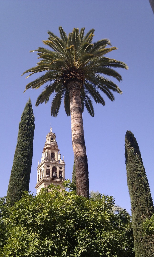 Mezquita-Catedral de Córdoba