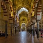 MEZQUITA-CATEDRAL (Servicio de limpieza)