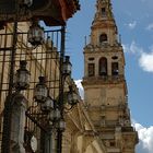 Mezquita / Cordoba..