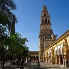 Mezquita Cordoba