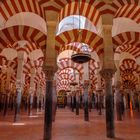 mezquita cordoba