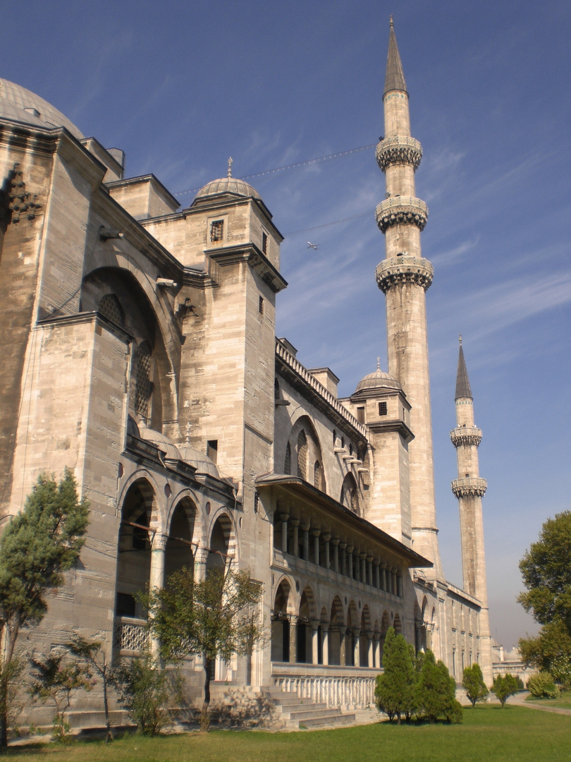 MEZQUITA DEL SULTAN