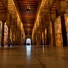 Mezquita in Cordoba I