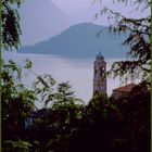 Mezzegra, Lago di Como