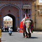 MEZZI DI LOCOMOZIONE A JAIPUR - INDIA