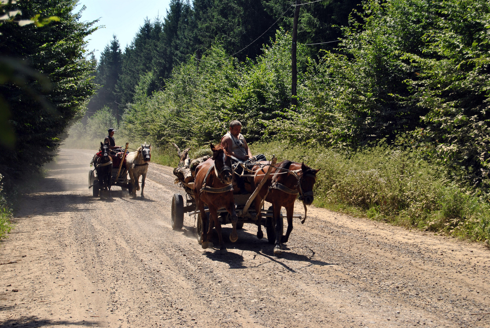 Mezzi di trasporto (Romania - Moldova)