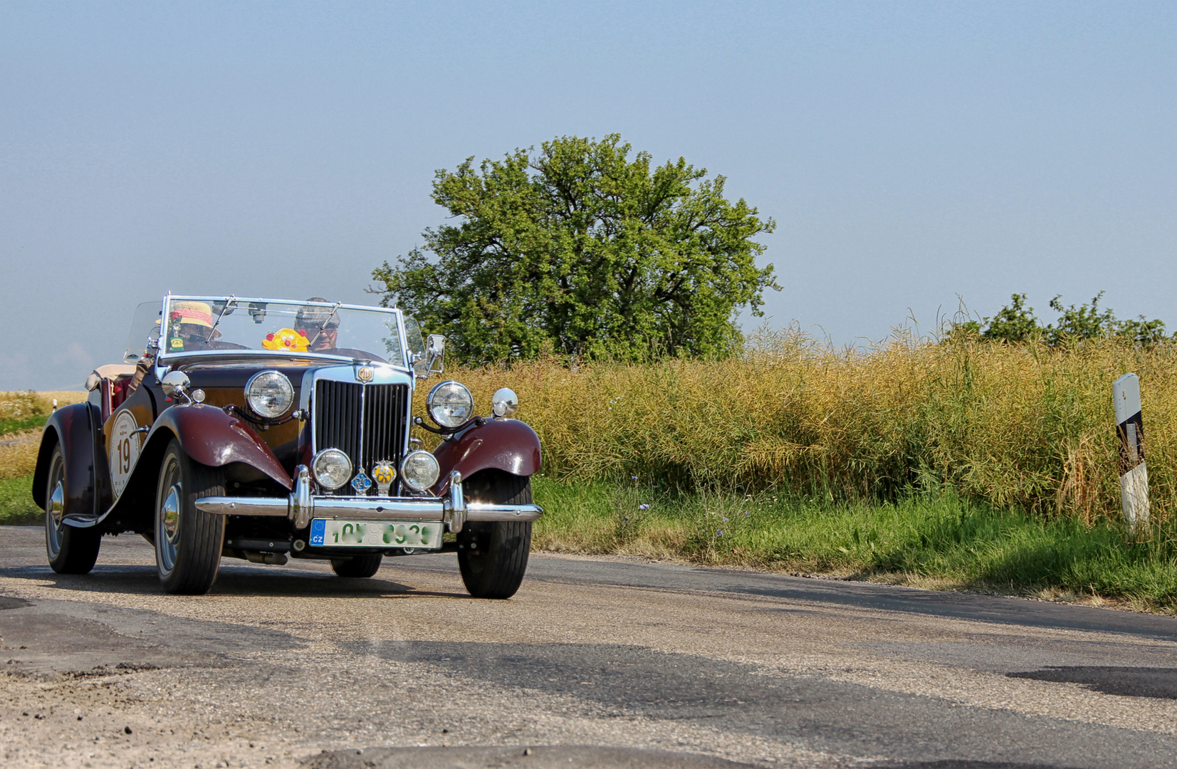 MG TD (1951)