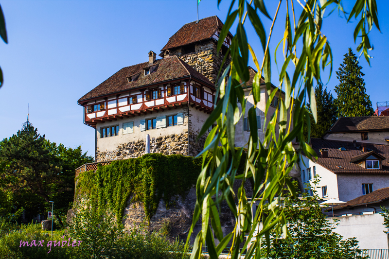 _MG_0726 Schloss FrauenfeldWeb