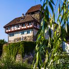 _MG_0726 Schloss FrauenfeldWeb