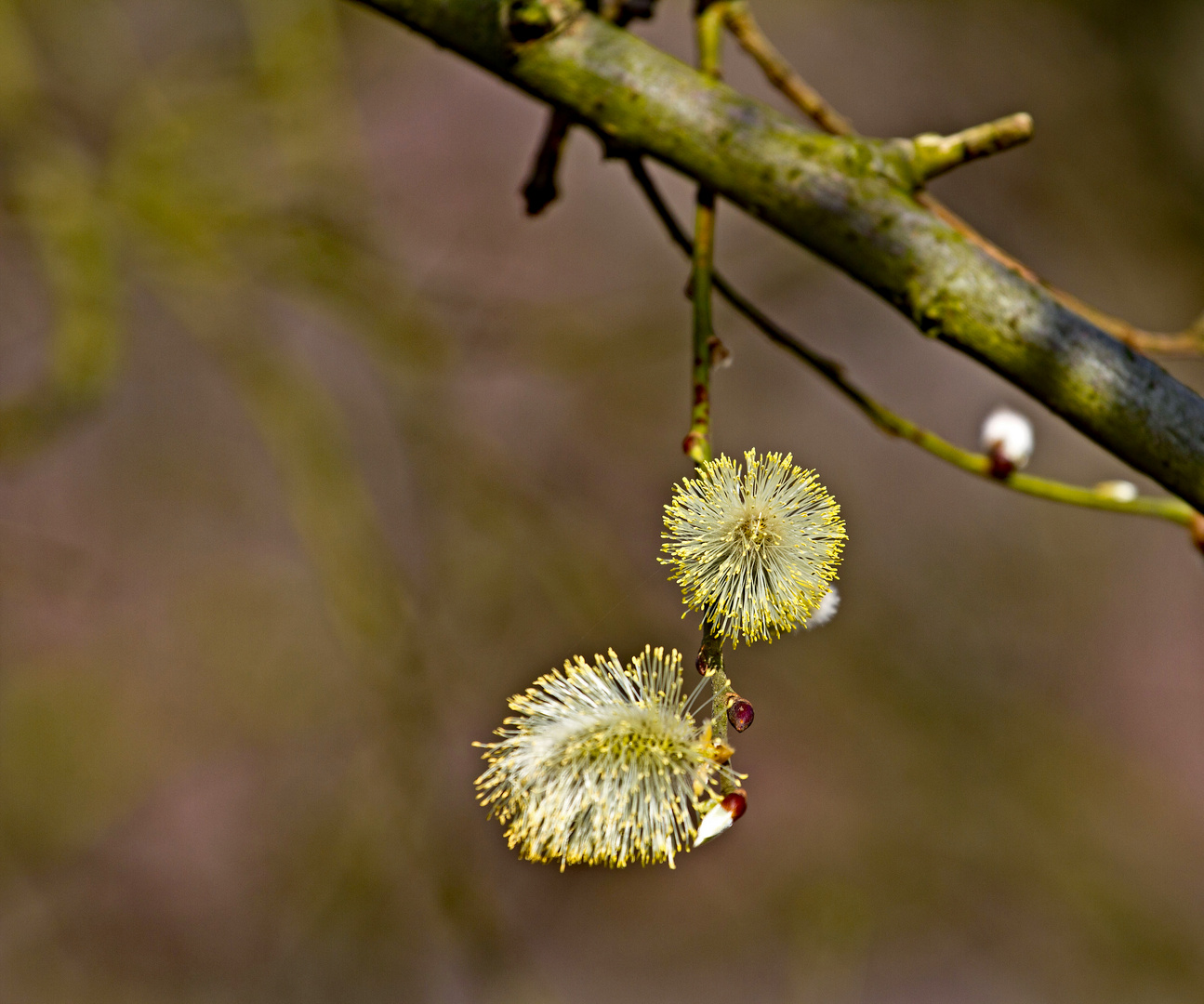 _MG_1210_bearbeitet-1