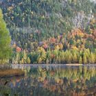 _MG_3567Automne 