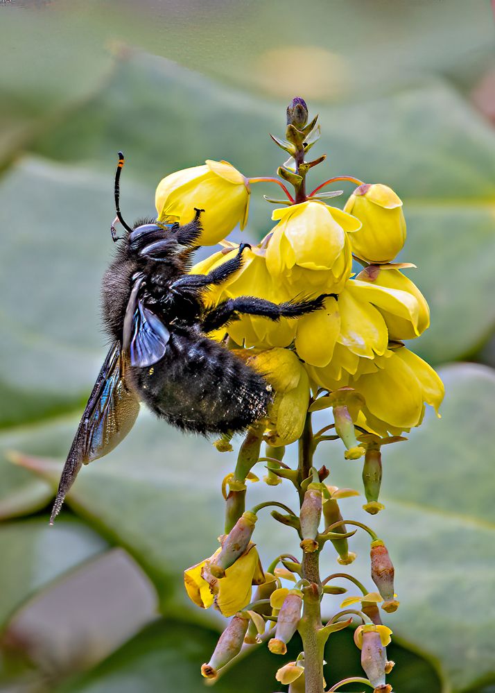 _MG_5650-Bearbeitet