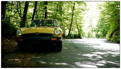 MGB im Wald