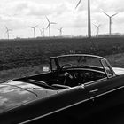 MGB Roadster (1966), Nachhaltigkeit
