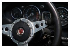 MgCockpit
