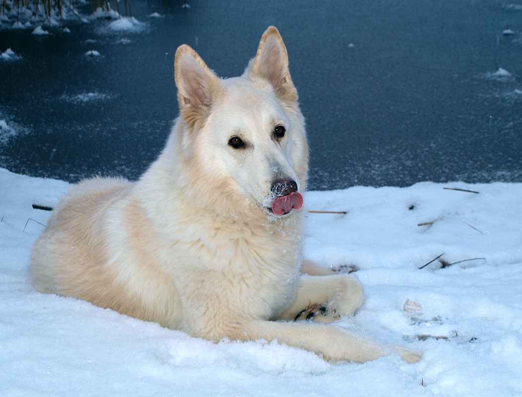 Mhh lecker Schnee!